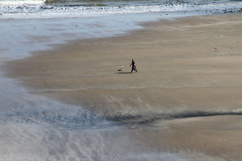 A wide sandy beach with lone figure adn a dog in the distance