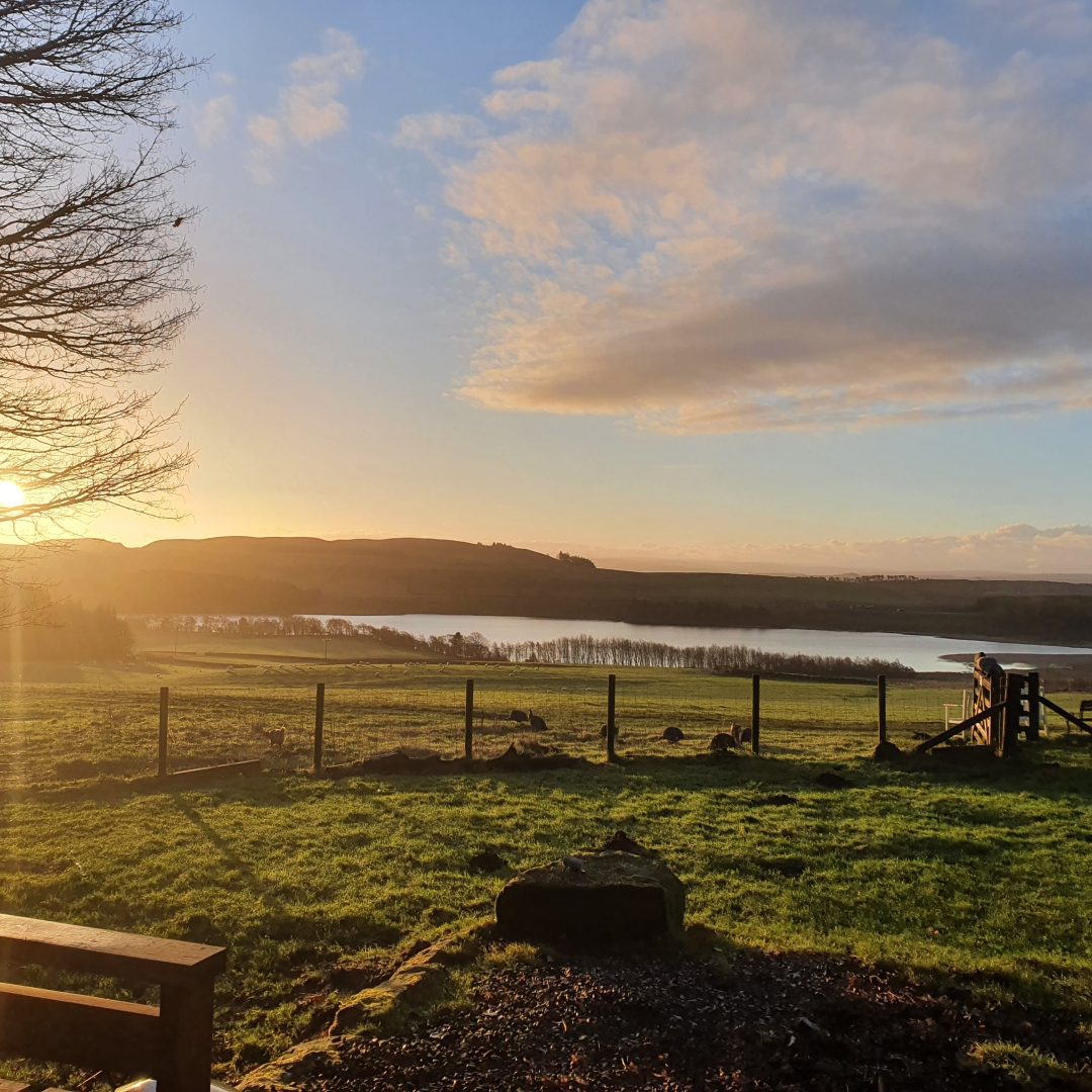 Sunset over a green landscape and a lake