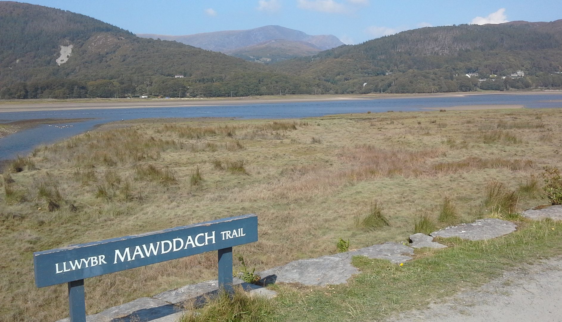 View from the Mawddach trail