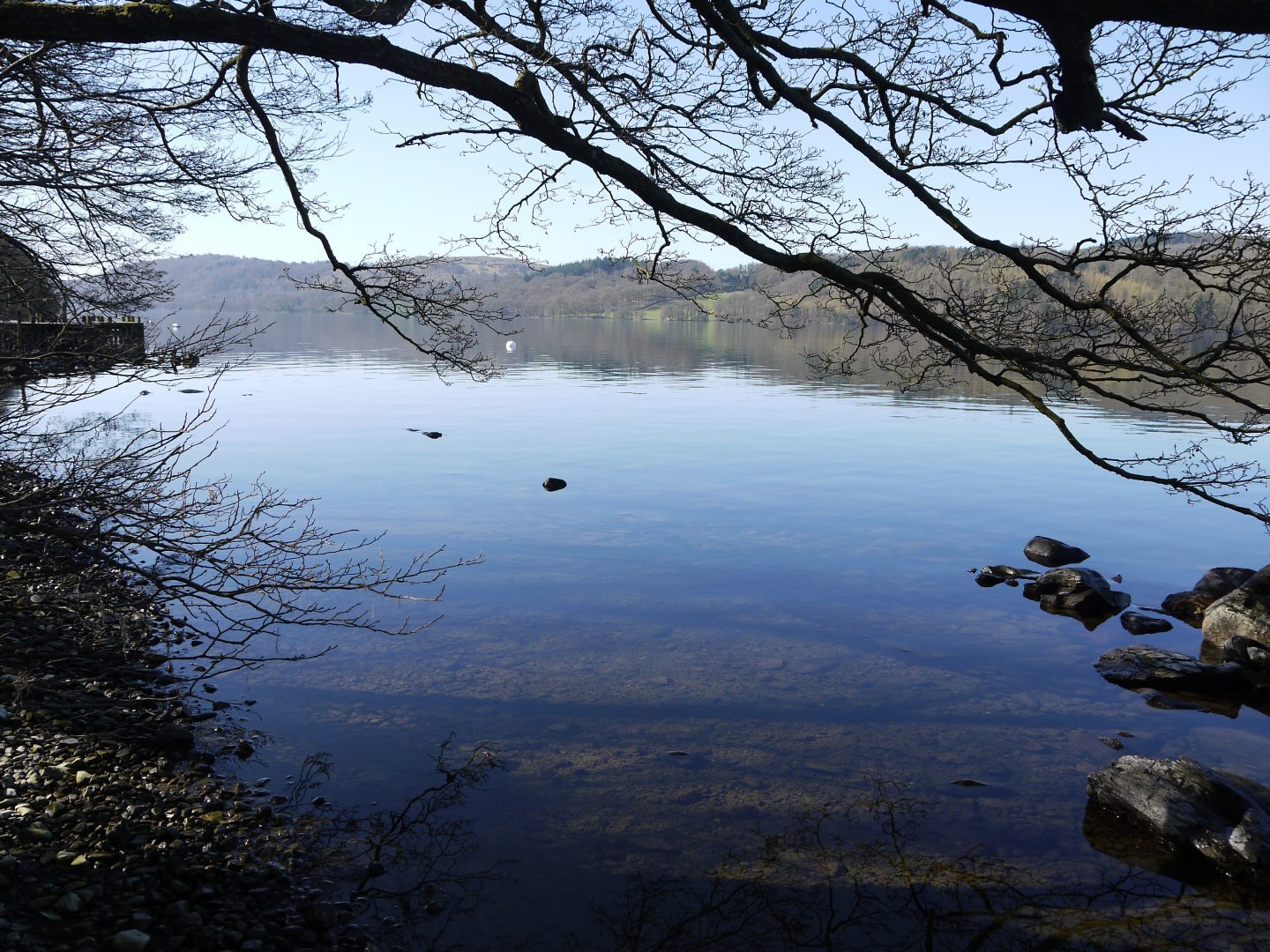Calm lake, tree branch overhead, rocks on right hand side
