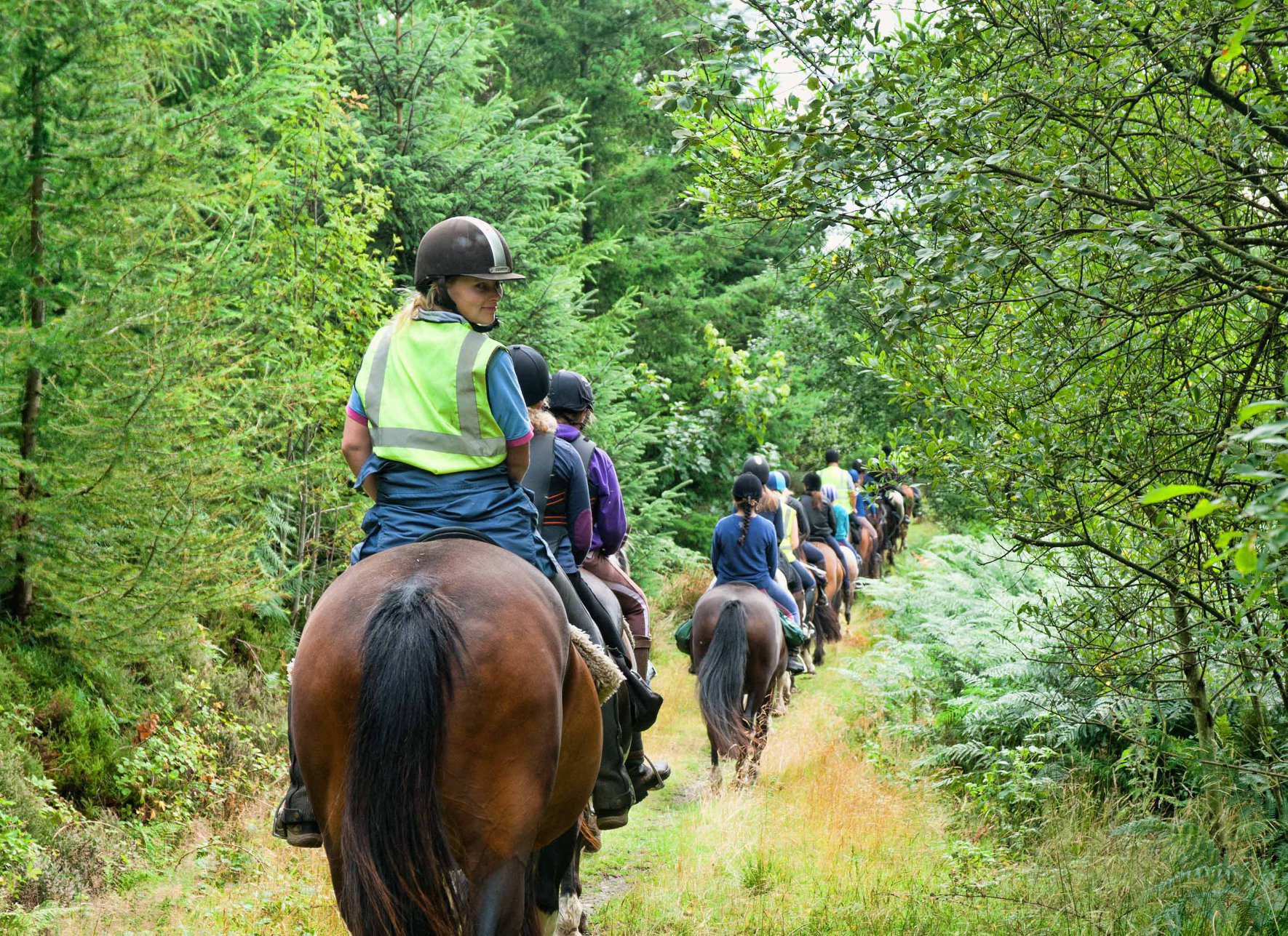 5 reasons why horse riders love Springhill Farm Bunkhouse