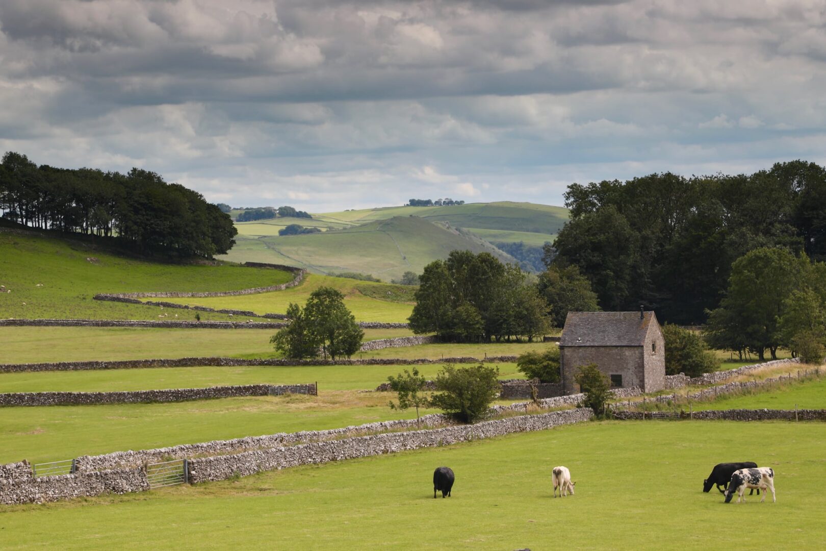 Alstonfield Camping Barn iwth garxzing cows in the foreground and Peak District hills i nthe background