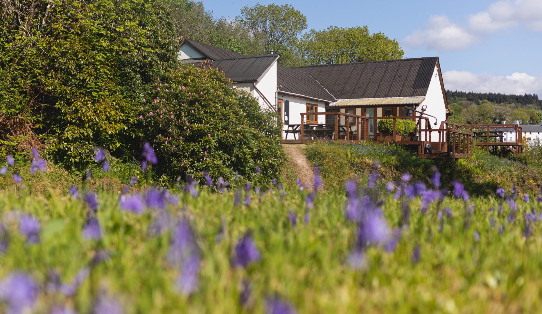Exterior view with a fiedl of blue flowers in the foreground