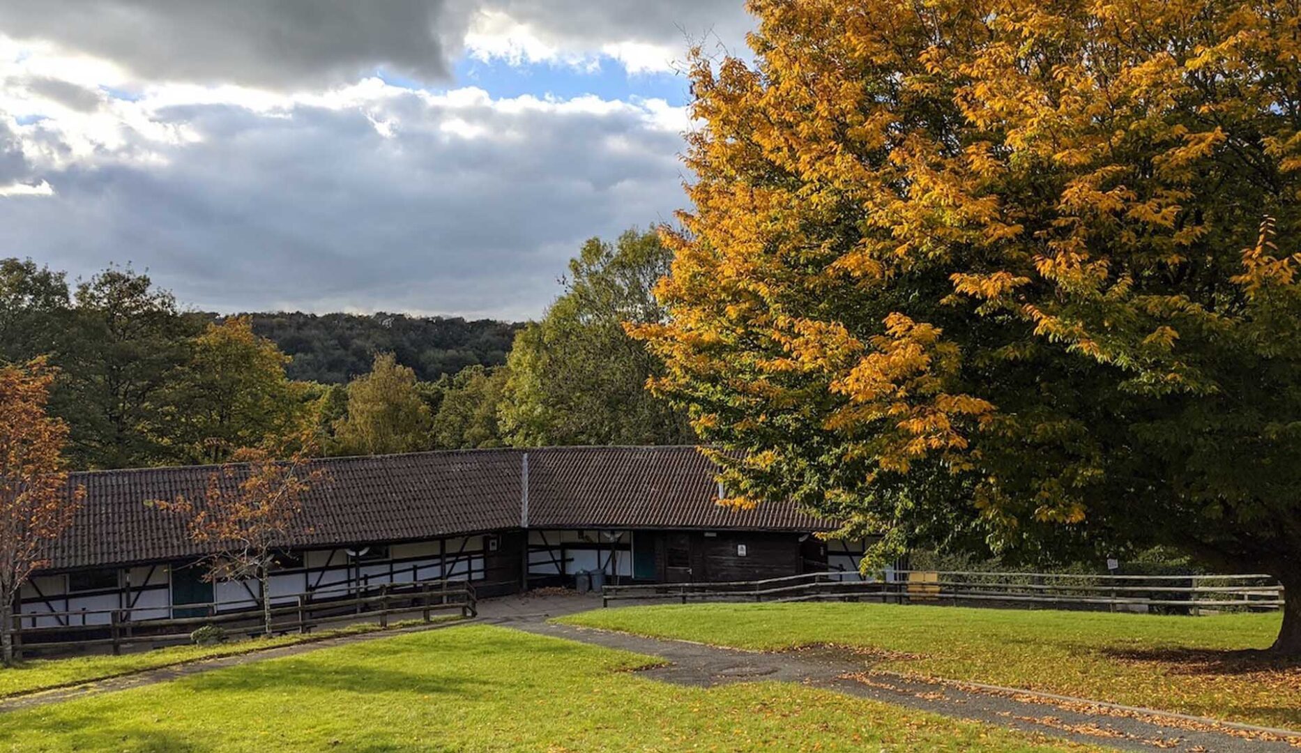 Exterior of low black and white buildings of the Malvern Centre with large trree in the foreground with autmn leaves and the Malvern Hills in the background