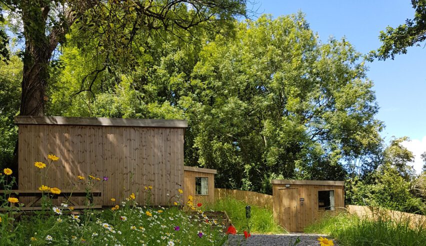 The cabins with wild flowers in the foreground