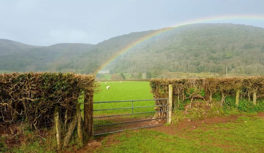 rainbow over metal gate with hall in the background