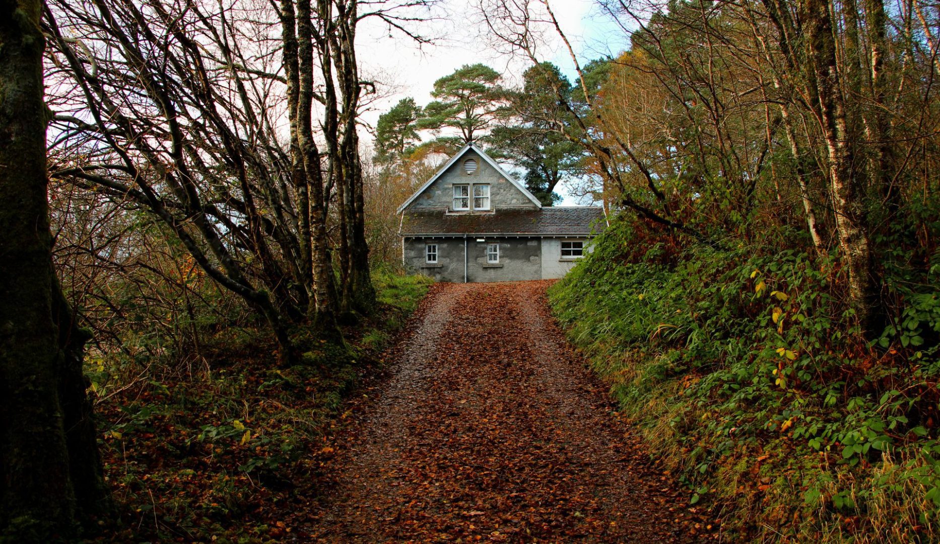 Track to the bunkhouse with bunkhouse beyond