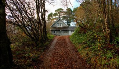 Track to the bunkhouse with bunkhouse beyond
