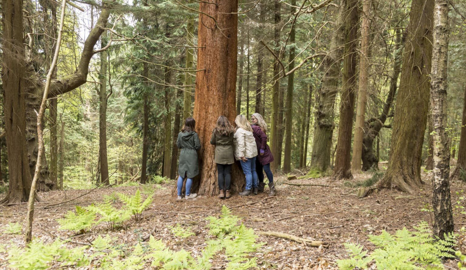 Generation Green at hurtwood hostel