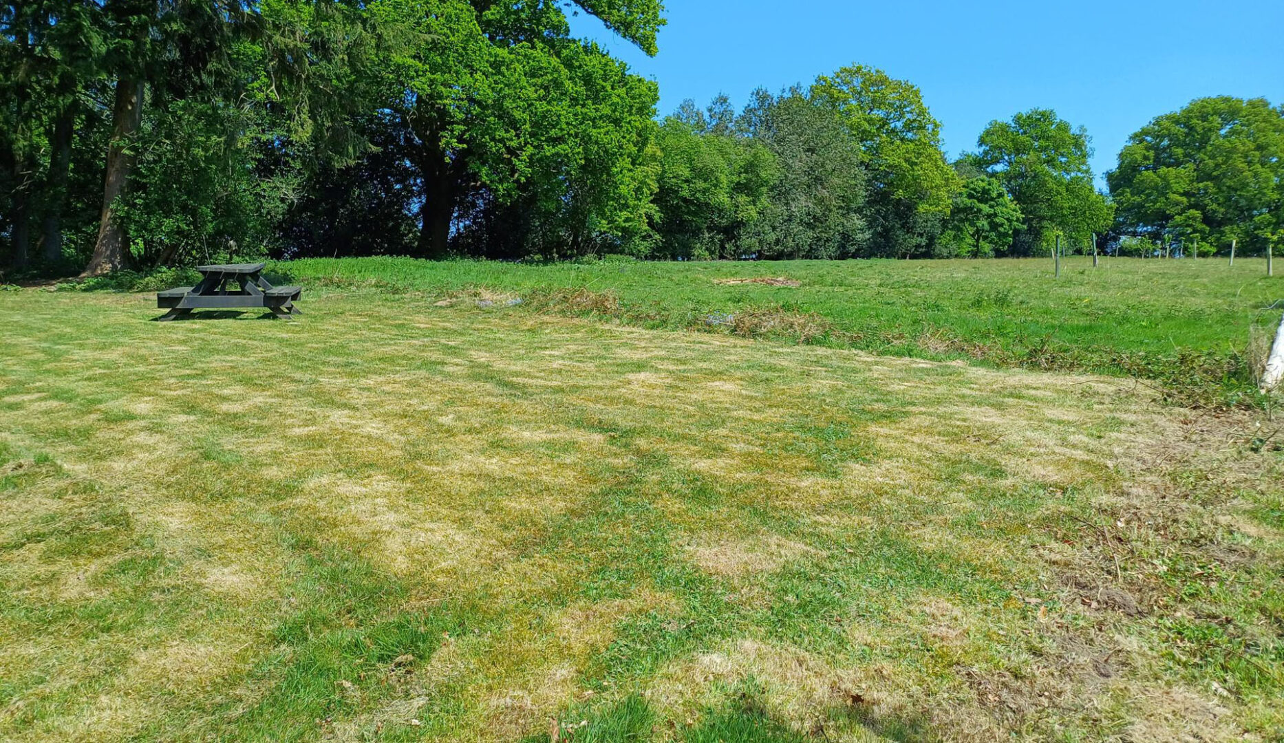 Camping field at jordans hostel