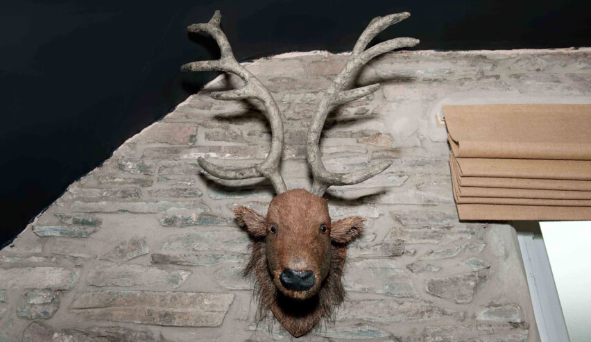 Stags head at CEllb hostel housed in Blaenau Ffestiniog's former police station