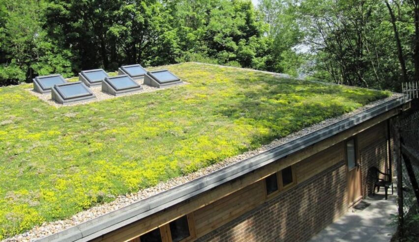 Roof lights on the hostel's flat grass roof