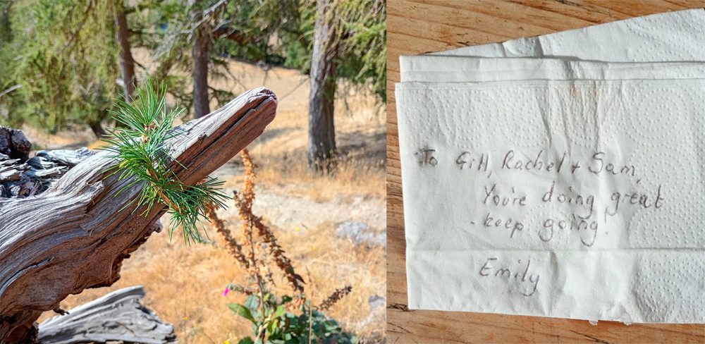 messages left along the dyke