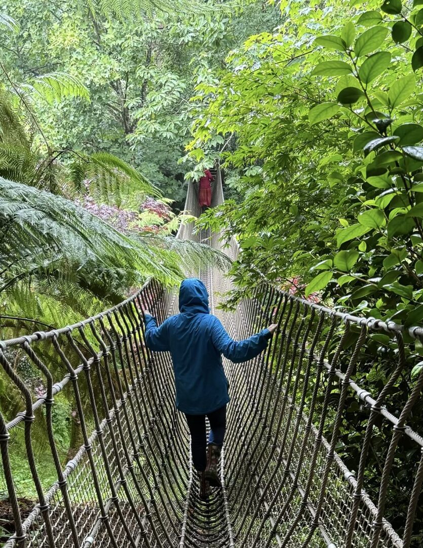 child from a school visiting the lost gardens of heligan walking across a rope bridge surrounded by foliage