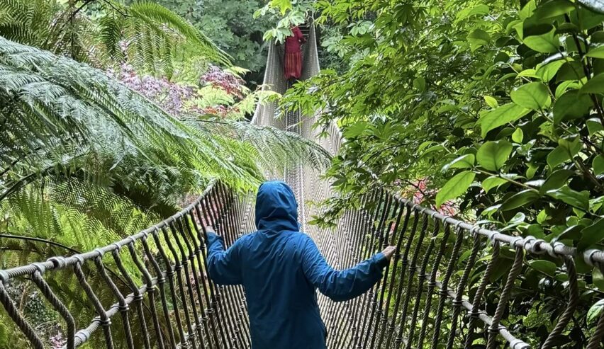child from a school visiting the lost gardens of heligan walking across a rope bridge surrounded by foliage