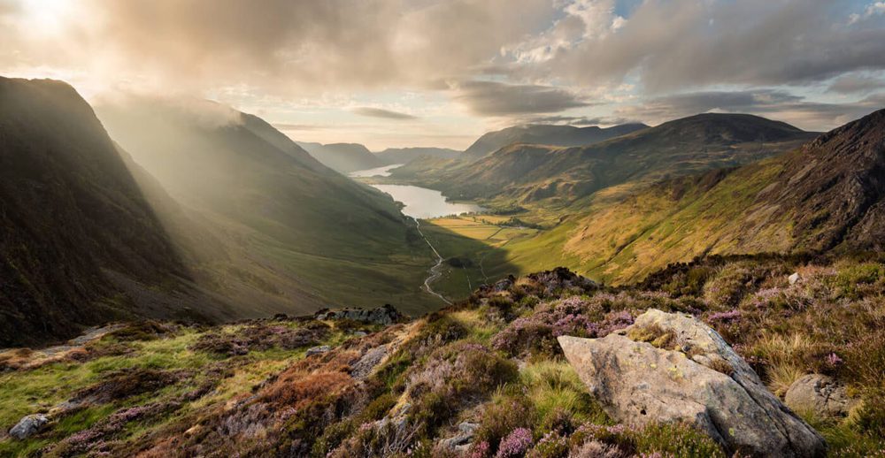view from the top of a mountain in the lake district showing heather and rocks