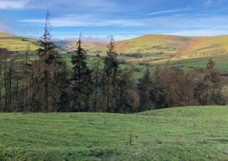 View of feilds and trees from WIld Valley bunkhouse