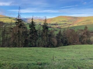 View of feilds and trees from WIld Valley bunkhouse