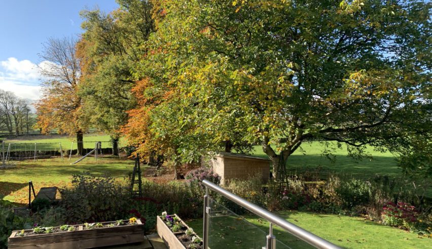 garden at the nightingale centre showing trees and playground equipment