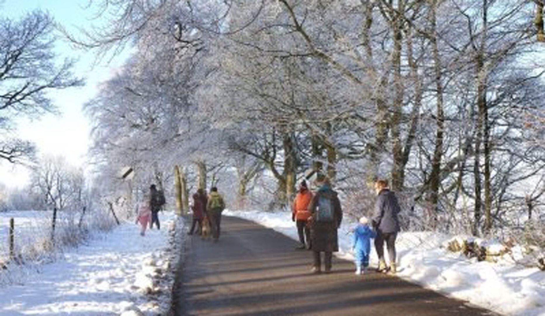 winter walking weekends at the nightingale centre