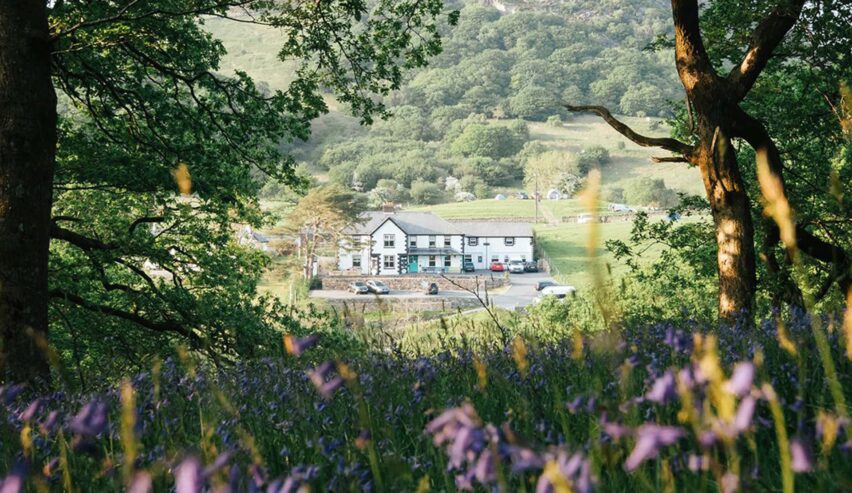 view through the trees and flowers of the rocks hostel at plas curig