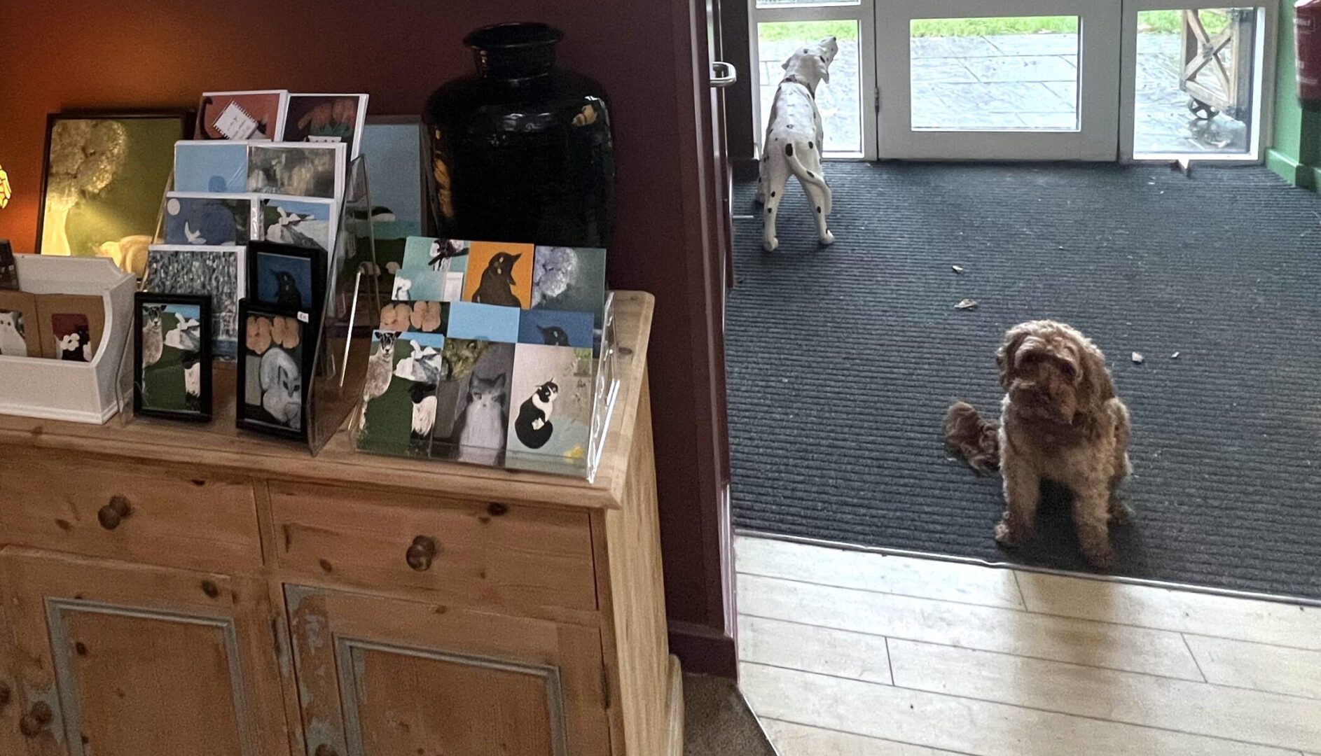 coco the dog and another dog in the porch at South Downs clubhouse near eastbourne