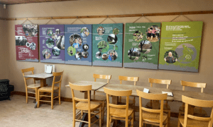 Cafe interior view with dining tables, and representation boards describing the ethos of the Sustainability Centre and its history