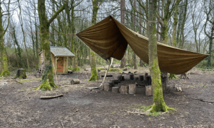 Woodland setting with a den made from a large tarpaulin, and circle of logs underneath for seating. Theres a wooden shed in the background.