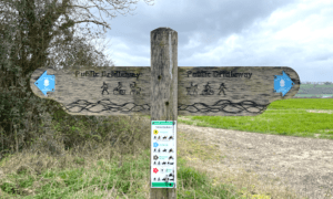 Photo of a double ended signpost in a field, marked 'public bridleway' with a blue arrow with an acorn inside it. 