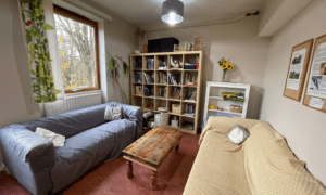 Interior of the hostel showing two sofas with throws and cushions, coffee table, and a large bookshelf with lots of books, toys and games to discover