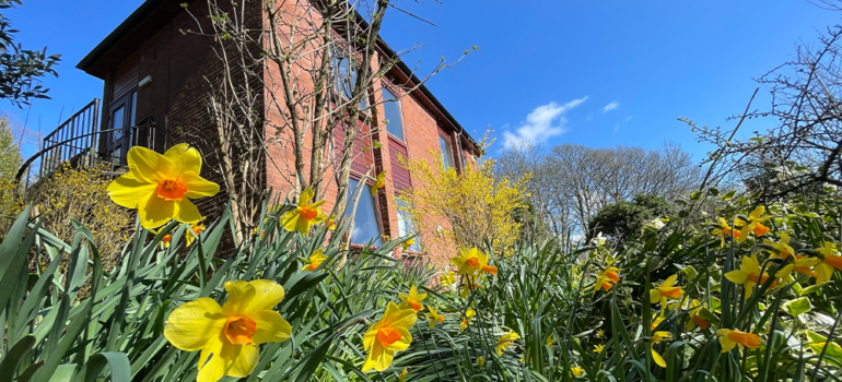 Two story hostel building in the bright sunshine, with yellow daffodils in the foreground.