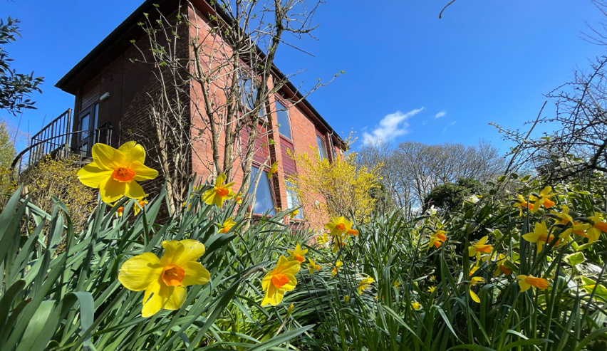 Two story hostel building in the bright sunshine, with yellow daffodils in the foreground.