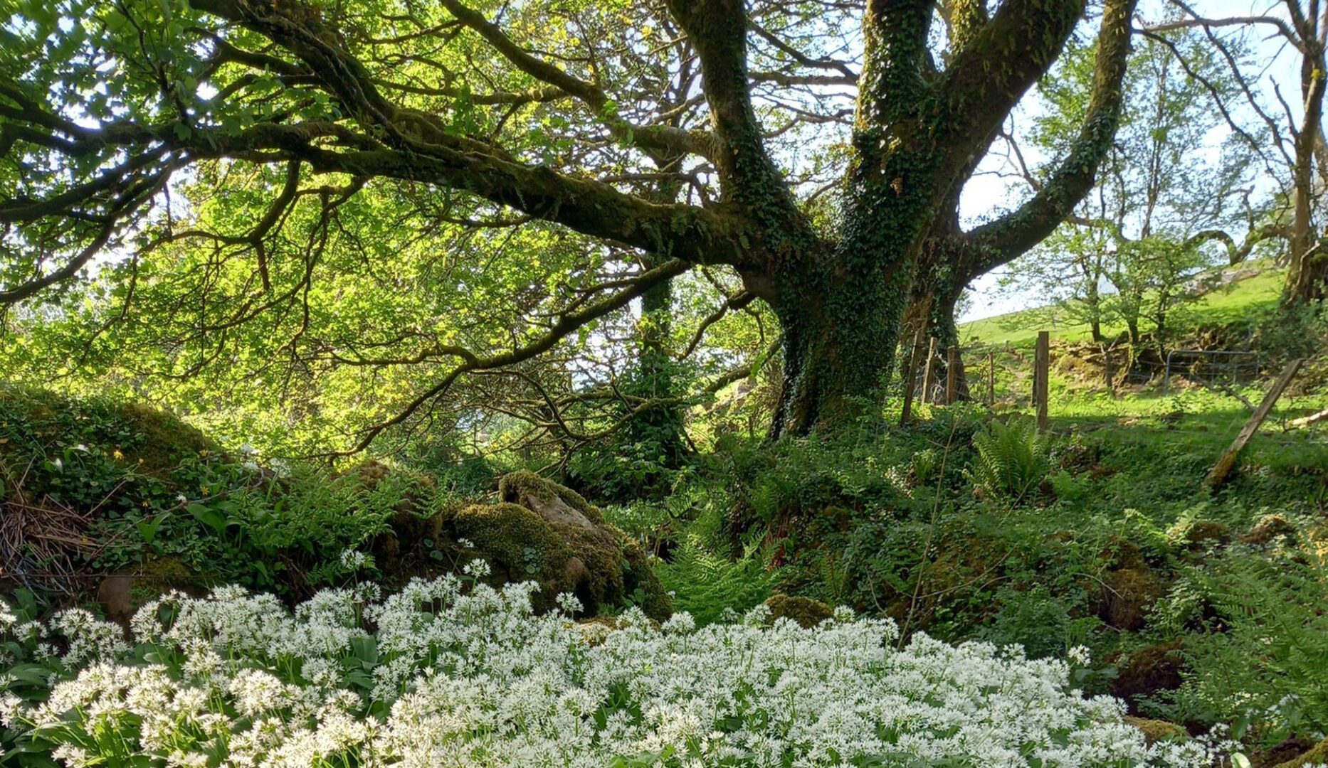 nature reserve at refuge bunkhouse