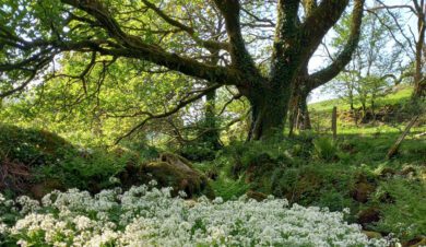 nature reserve at refuge bunkhouse