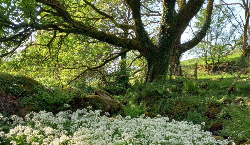 nature reserve at refuge bunkhouse