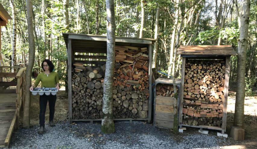 woodpiles ans washing up at Llwyn Lodgings on Glyndwrs Way