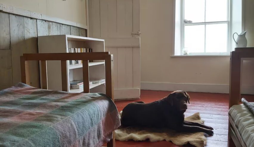 beds and dog at bothy and loch fire and kitchen bearnus bothy on the isle of ulva