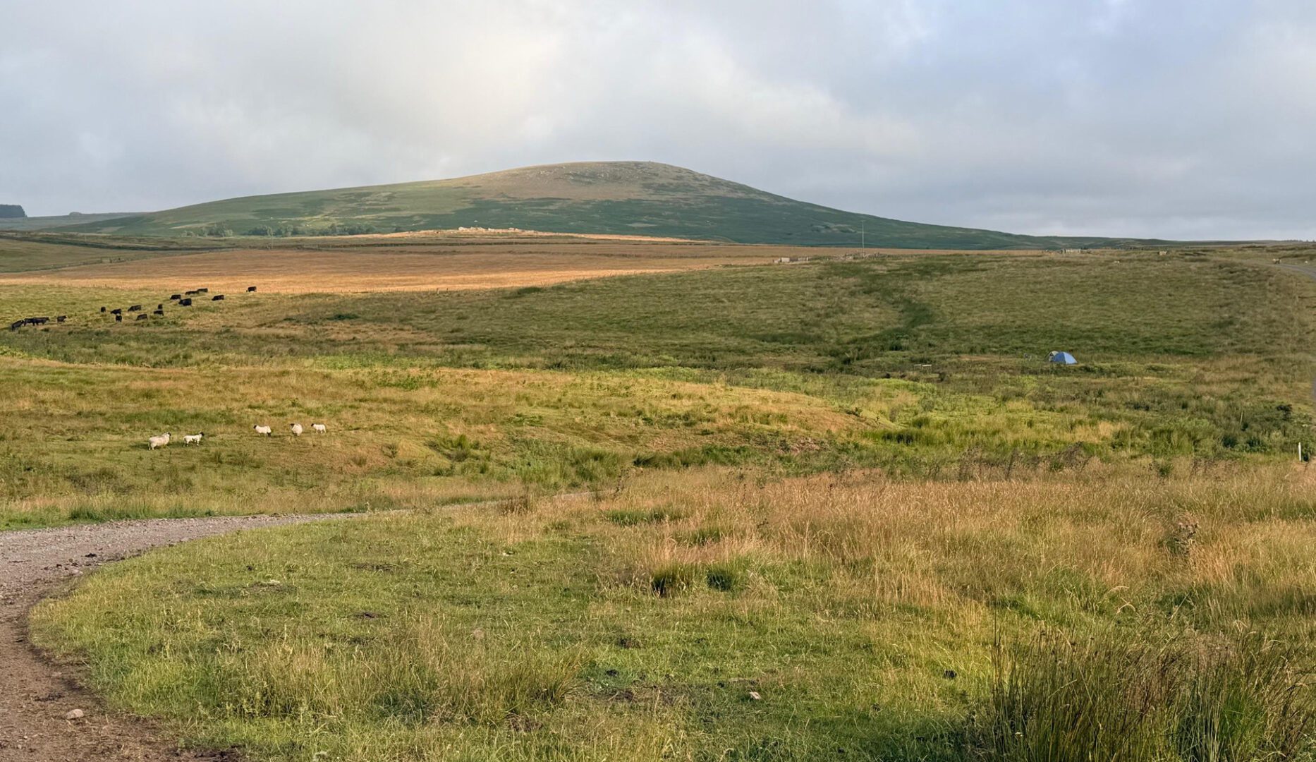 Wild Camping on norhtumberland moors