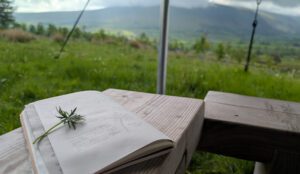 nature journal set against a landscape of mist and mountains