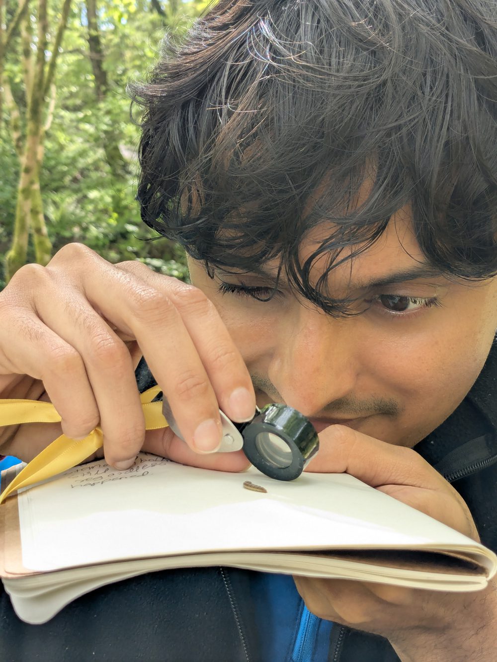 young man with a magnifying lens examining nature