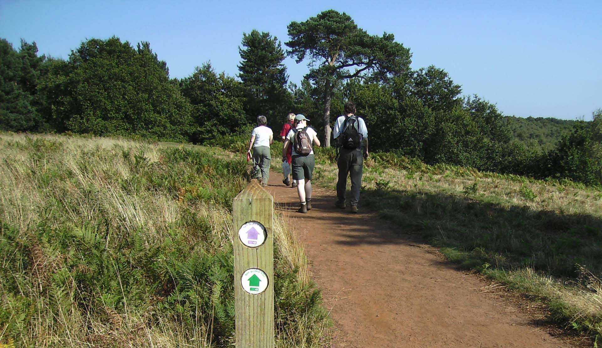 walkers on the pilgrims way in the surrey hills
