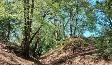 a walker in woodland on the north downs way