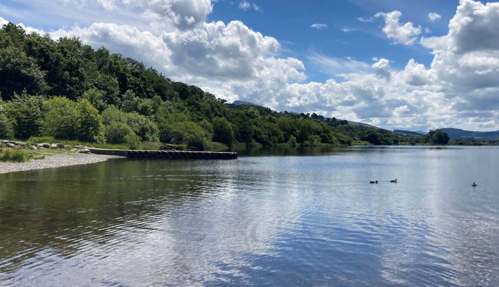 Ideal lakeside wild swiming spot