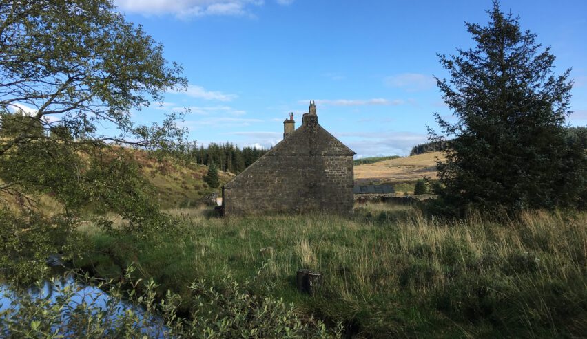 Willow Bog Cottage silotted on the horizon