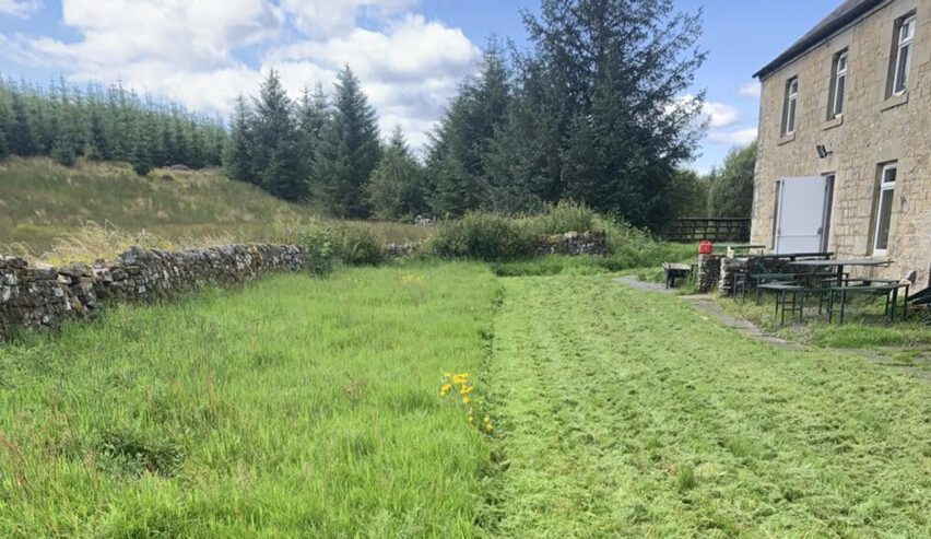 camping field at Willow Bog Cottage