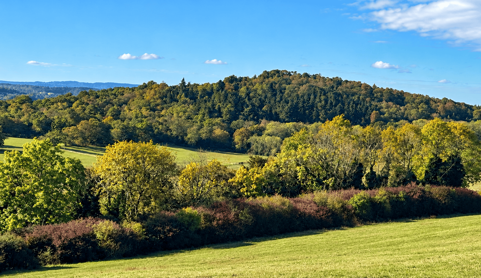 countryside surrounding the Surrey hills Loop